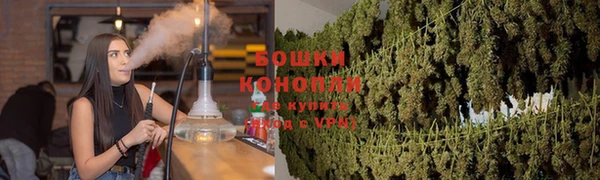 таблы Богданович