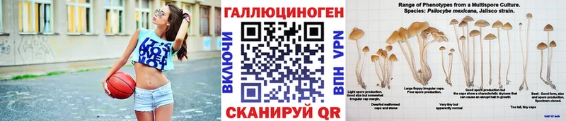 Галлюциногенные грибы прущие грибы  Избербаш 